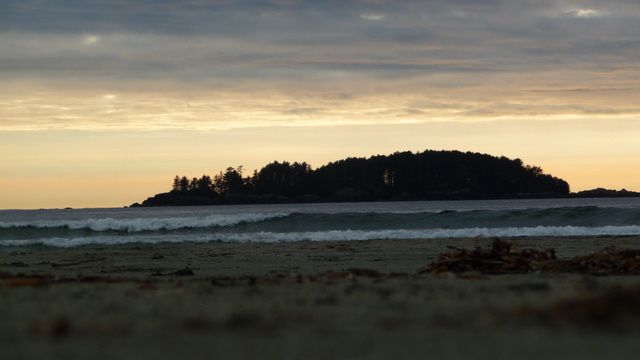 Album - -q-TOFINO