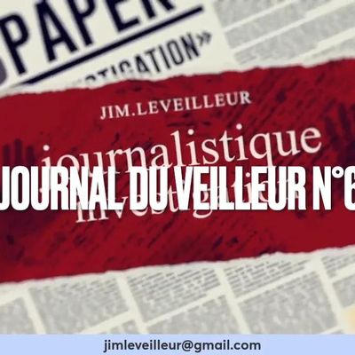 LE JOURNAL DU VEILLEUR N°6