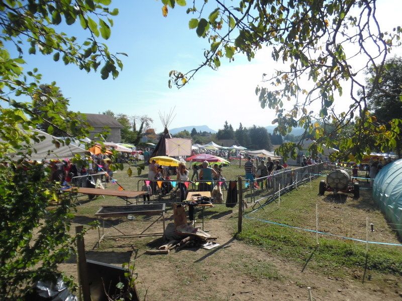 Album fête de l'âne 2016
