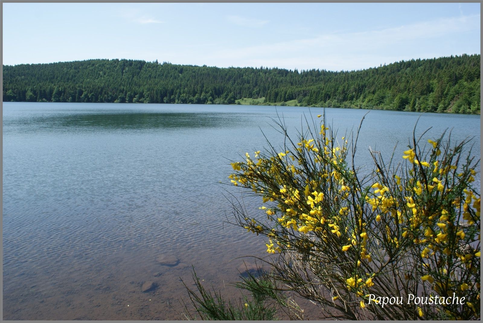 Le lac du Bouchet L'Auvergne Vue par Papou Poustache