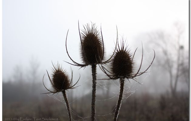 Trois et Trois...