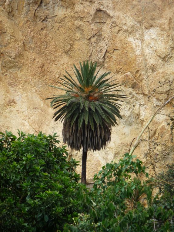 Album - 43.Canyon de Colca (Perou-Janvier)