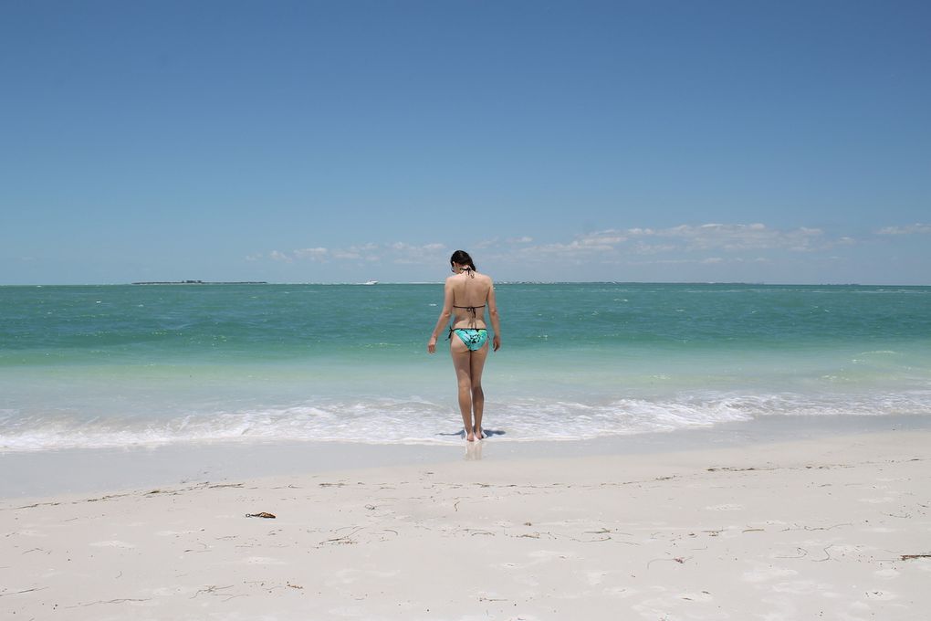 Sarasota beaches