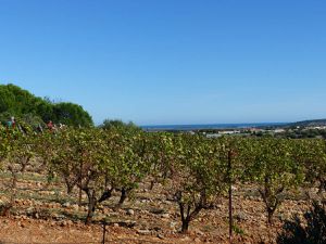 De CAVES à FEUILLA Oct 2018