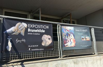 Expo des sculptures de Brunehilde et des peintures d'Anne Clabaux au Centre Nautique d'Agon-Coutainville jusqu'au 24 juillet 16