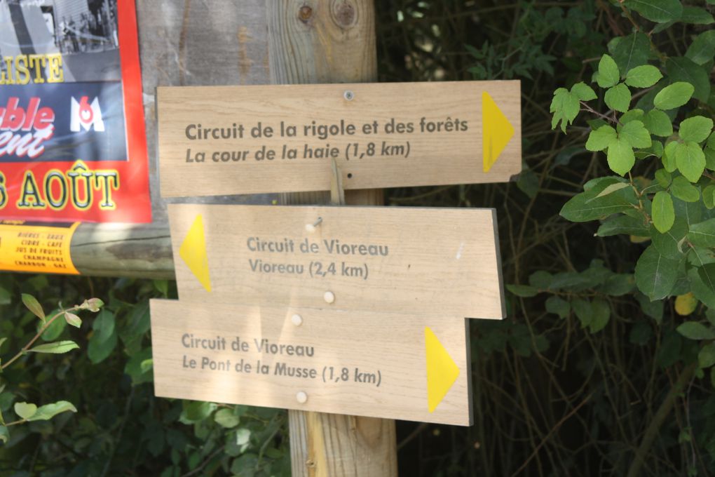 Vues prises le 26 août 2012 autour du grand étang de Vioreau, à Joué-sur-Erdre. Cette réserve d'eau, annexe du canal de Nantes à Brest, et réalisée de 1811 à 1835, devait contribuer - commme l'étang voisin de la Provostière à Riaillé, à