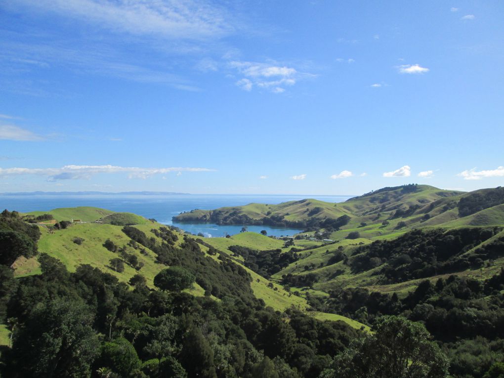 Coromandel Peninsula