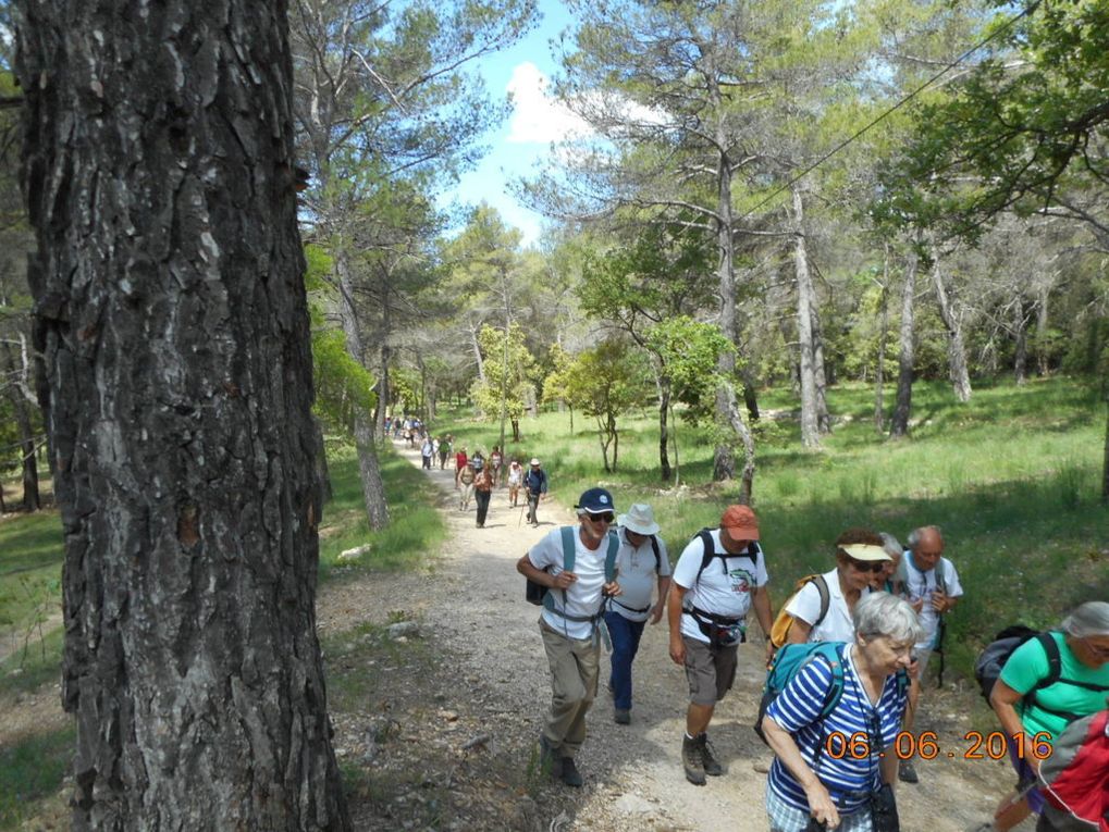 De Nans les Pins, la Mantelette, les Sources de l’Huveaune