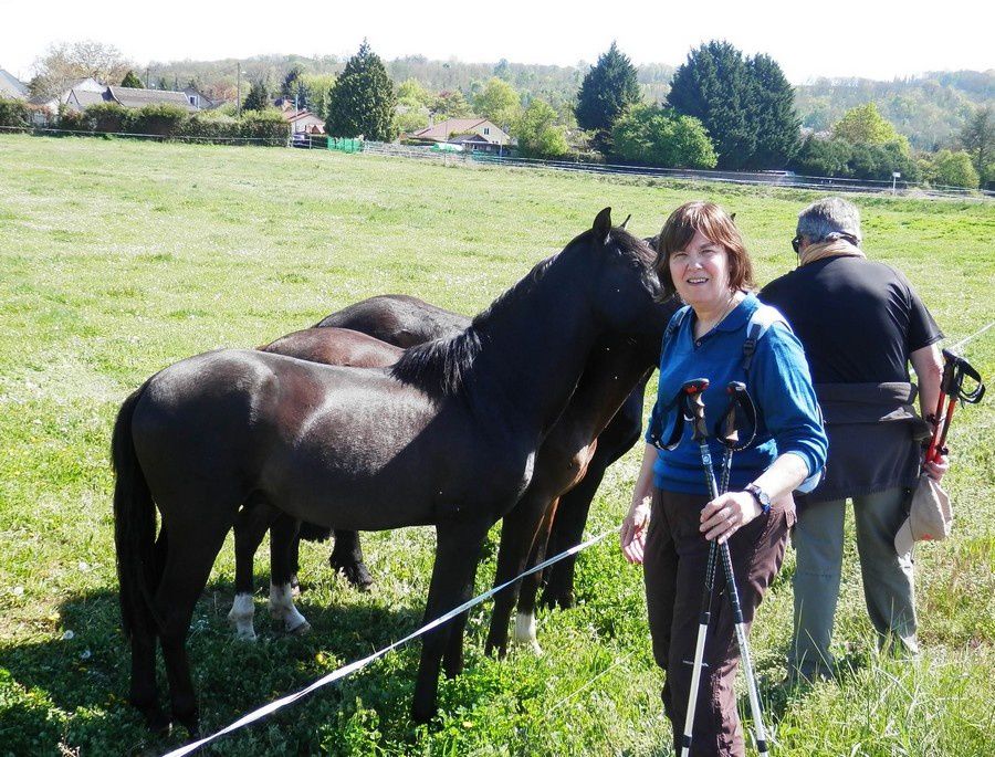 Le 17-04-14-Luzancy