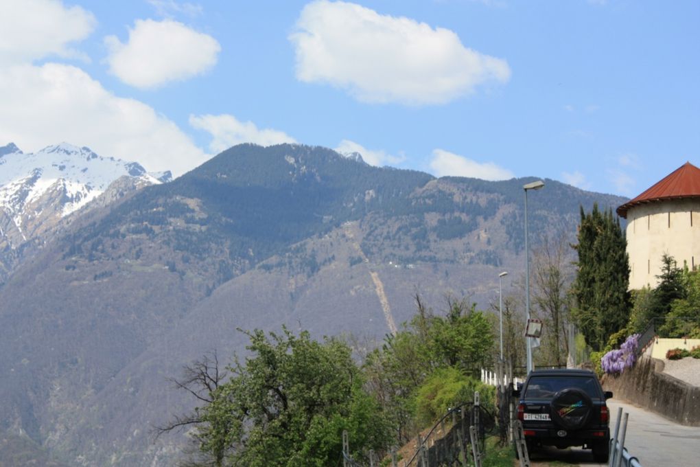 Passeggiata sopra Camorino del 13.04.2009