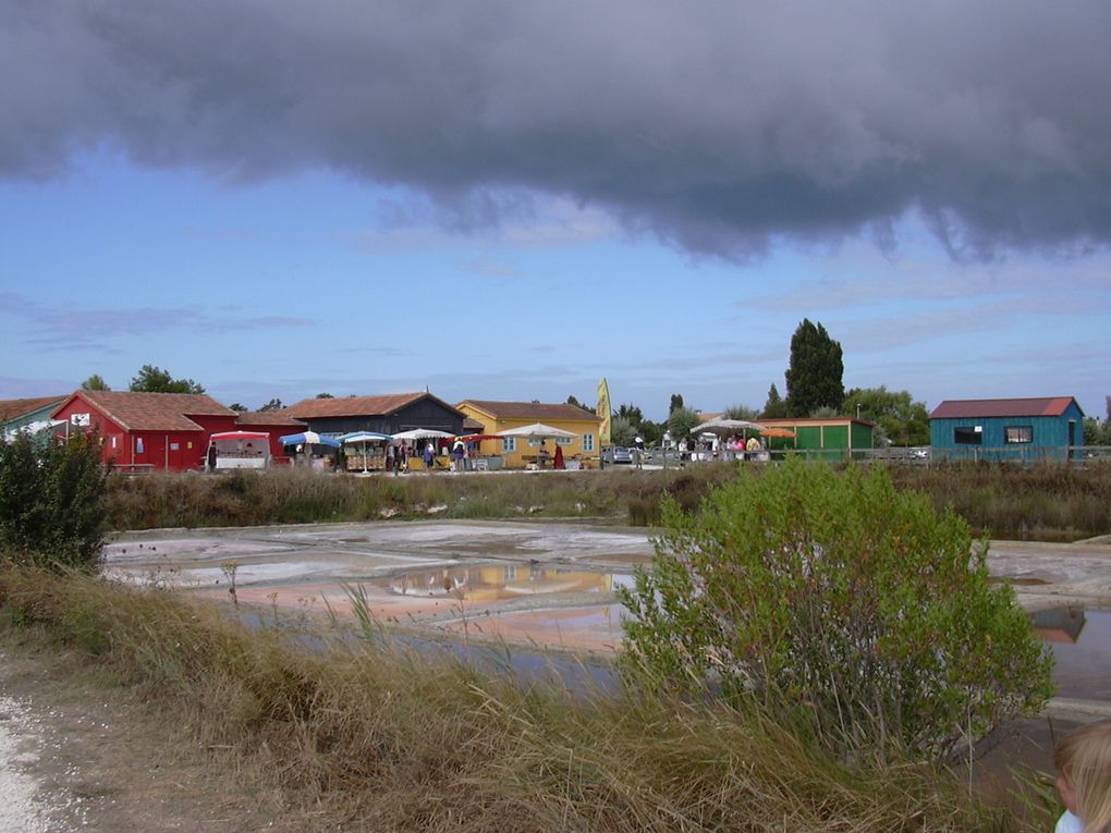 ILE D'OLERON 
ST TROJAN LA BALNEAIRE, LA BAIE DE GATSEAU, LE GRAND VILLAGE PLAGE ET SON PORT DES SALINES, ST PIERRE AVEC SES RUELLES PIETONNES ET SON PORT DE PECHE DE LA COTINIERE, LE PERTHUIS MAUMUSSON, LE PETIT TRAIN DE ST TROJAN, LE FORT BOYARD E