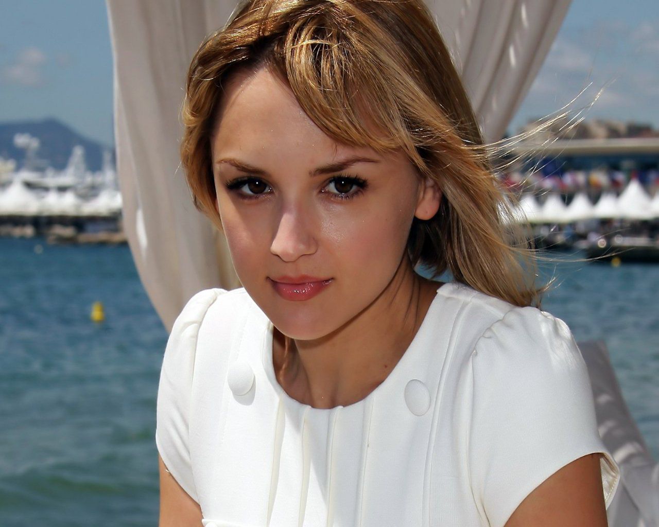 Eternelle américaine Rachael Leigh Cook