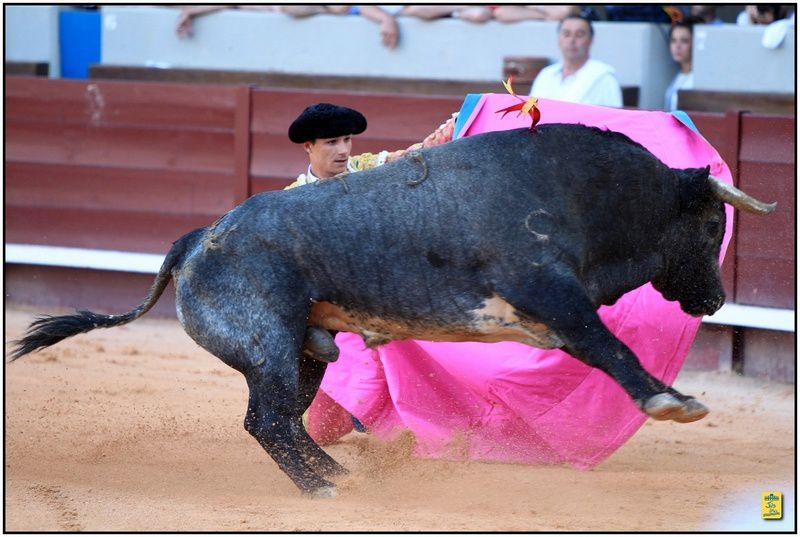 Arènes d'Istres, samedi 15 juin 2013 Solo de Juan Bautista face à 6 toros de ganaderias différents ... Indulto du 6ème toro "Golosino" de La Quinta
