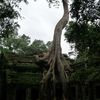 Angkor sur la route