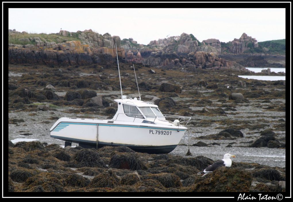 Album - île-de-Bréhat