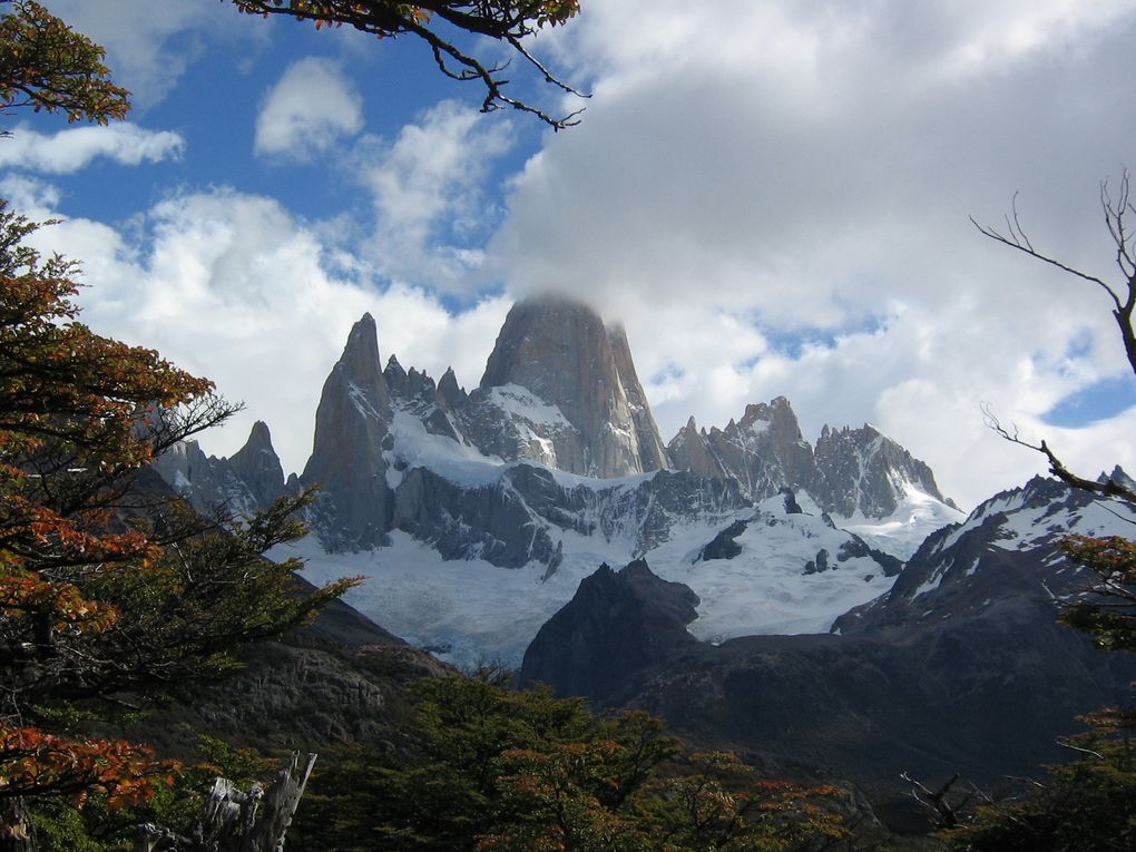 Buenos Aires / Bariloche et les lacs de Patagonie / Glaciers et monts de Patagonie (Perito Moreno et Cierro Fitz Roy) / La Rioja : Parcs nationaux de Talampaya et d'Ischigualasto / Salta et sa région