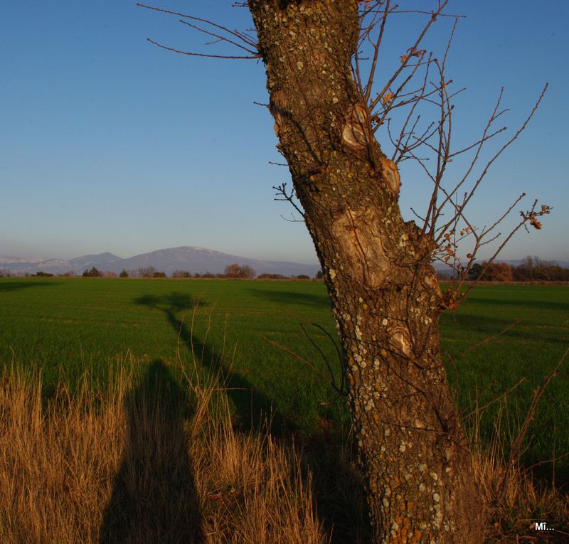 Album - Valensole-et-ses-environs