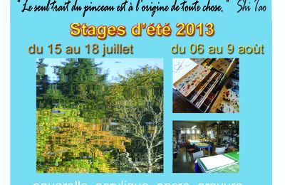 stage dété 2013