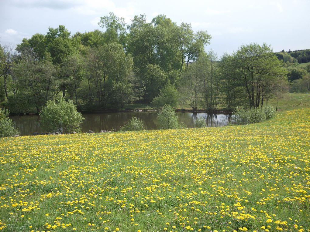 Album - le-doubs1