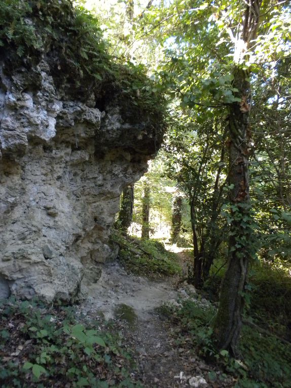 Petite boucle d'un circuit "trail" de 2,5 km à faire le plus de fois possible en 6 heures !!!