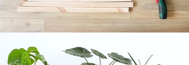 DIY un bac pour plante d'intérieur