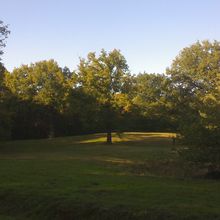 Automne toujours trop vert à la forêt de Rougeau