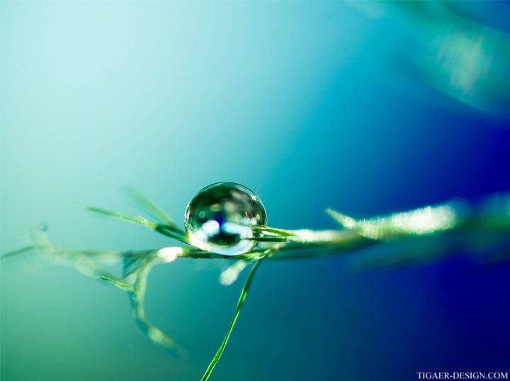 bulle, boules de cristal,
gouttes d'eau,
gouttes de rosée,