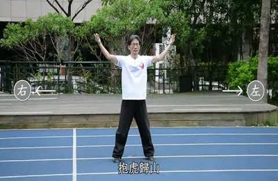 13 postures du style Yangjia michuan taiji quan