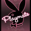 Playboy : une histoire de lapins