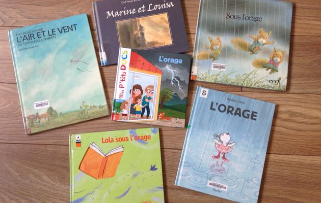 Sélection de livres sur l'ORAGE