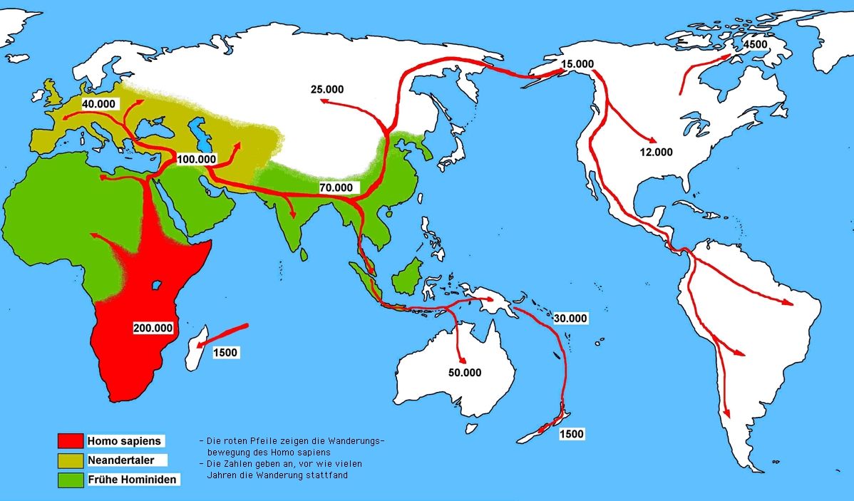 homo sapiens hors d'Afrique