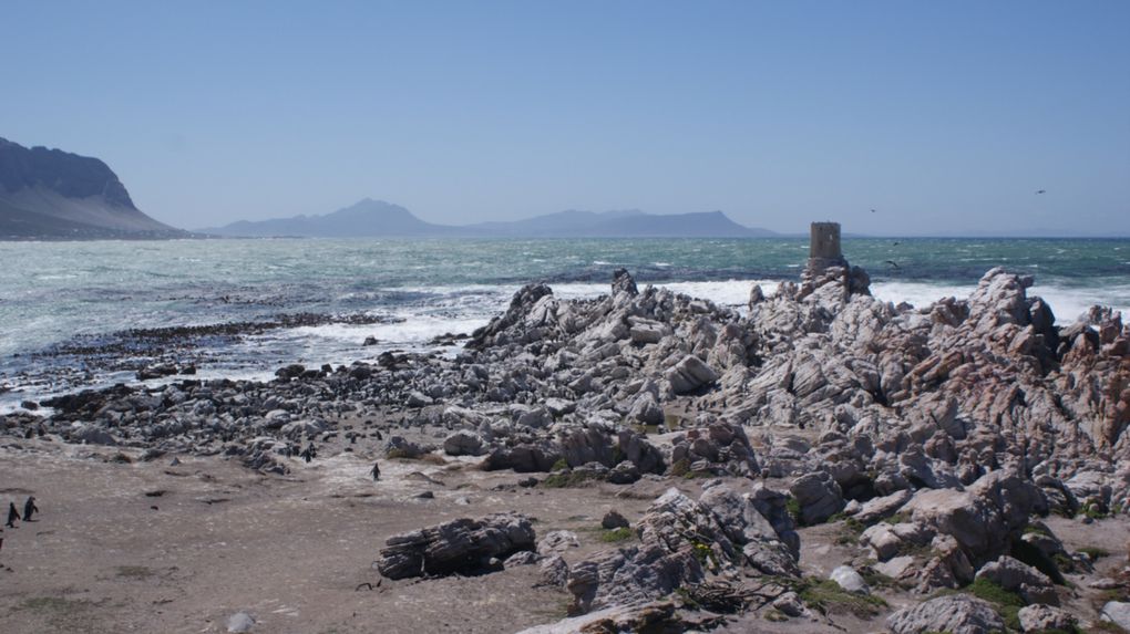 Album - La région de Cape Town