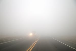 ضباب كثيف بدأ منذ ساعة تقريبا Brouillard dense 