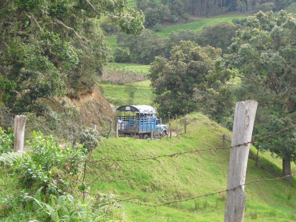 Album - COLOMBIA-2010