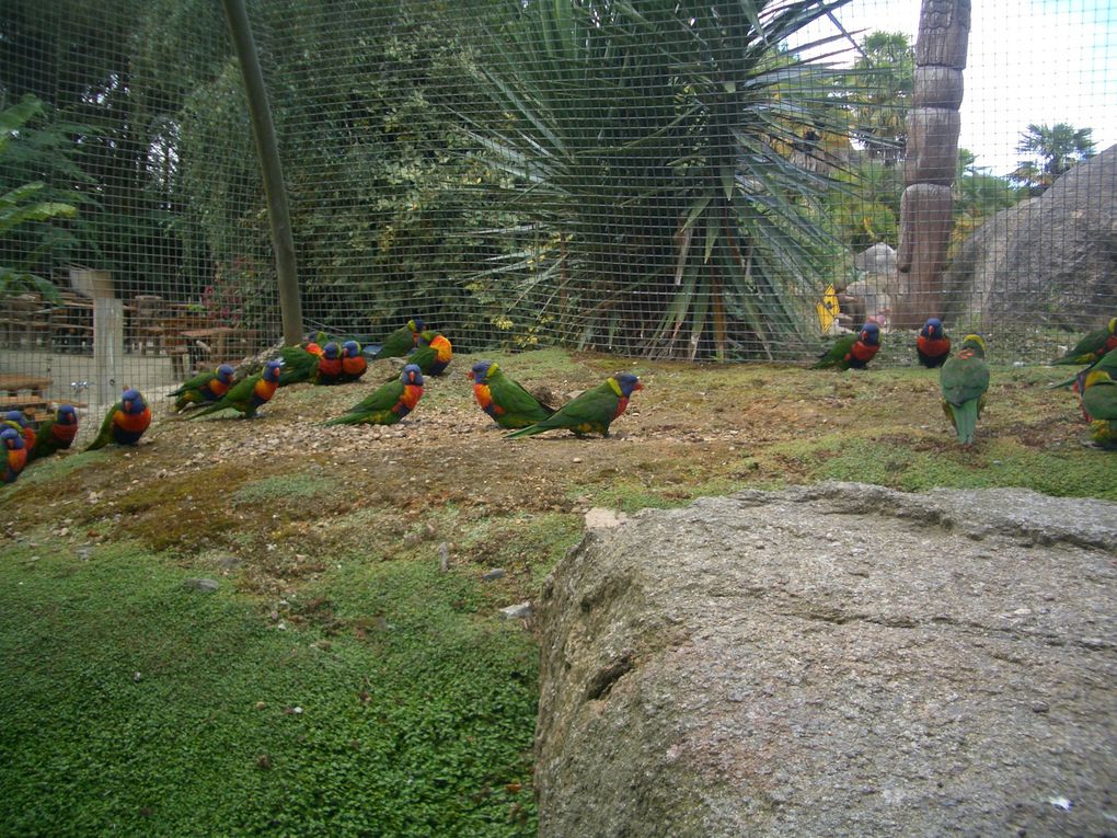 Sortie scolaire à Tropical Parc