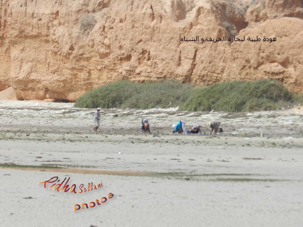 Le phare romain de skhira, les falaises et le golf de gabes...
الناظور الروماني بالصخيرة و خليج قابسhttp://www.laskhira.blogspot.com/
http://www.flickr.com/photos/laskhira/sets