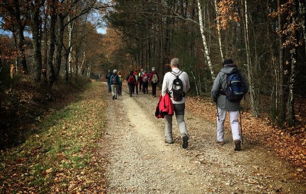 Randonnée automnale🍂🍁 au départ d’Huparlac : La Chapelle du Roc.