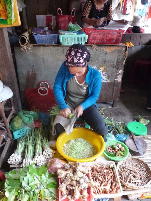 Album - L : Cambodge