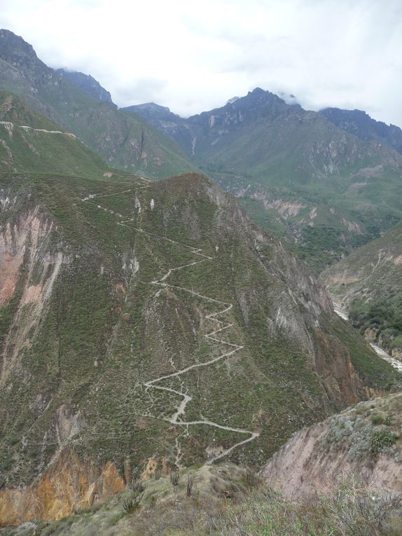 Album - 43.Canyon de Colca (Perou-Janvier)