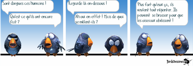 Les Zoziaux et les limitations !