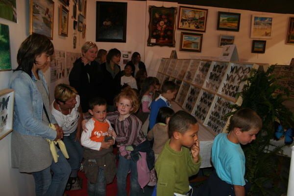 Exposition d'insectes et de papillons dans la galerie commerciale des 4B à Calais du 8 au 24 mai 2008