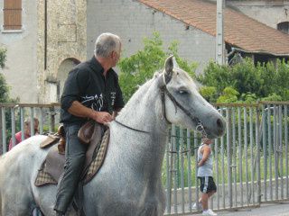 Album - pyramid'biou juillet-2010