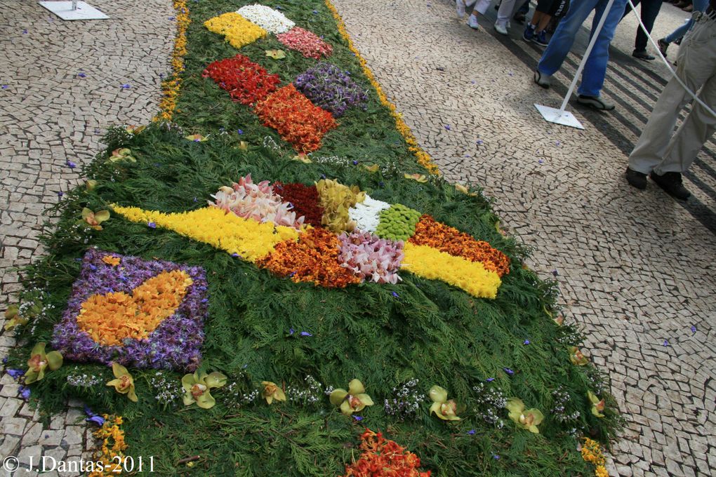 Madere-Funchal,c'est dans cette ville capitale de l'isle que se realise tous les ans la fete de la fleur,cette année c'etait du 5 au 8 Mai et j'y etait,voici quelques images