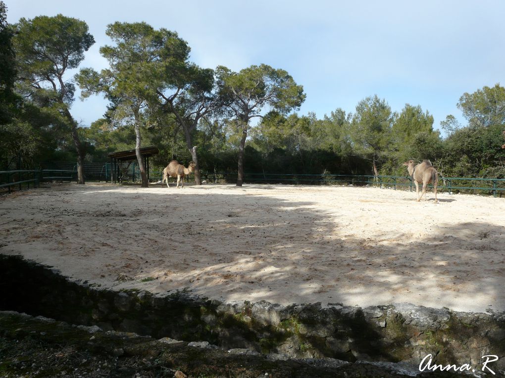 Visite du 06.02.2010