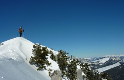 Bonne année 2012!