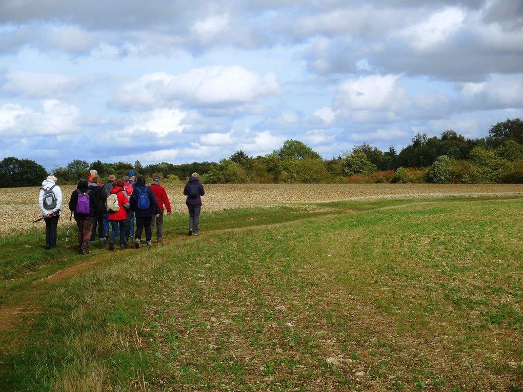 Au long du chemin,... des champs moissonnés ou du maïs