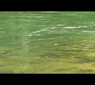 La pêche en héritage.