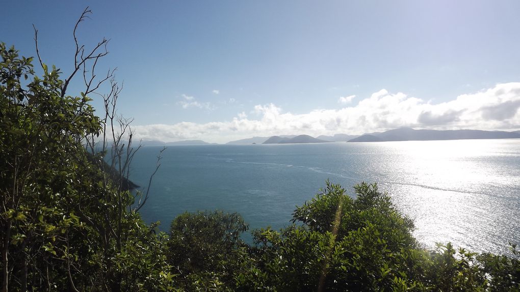 Whitsunday - Long Island