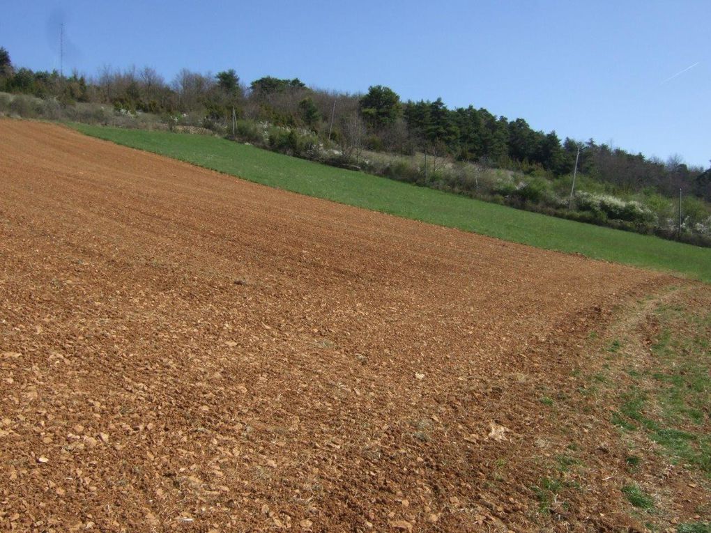 Rando 55 km "entre vigne et pierres dorées"