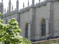 Burgos : Casa del Cordón y Cartuja de Miraflores (1,2,3) - Iglesia de Torquemada (4) - Hornillo del Cerrato (5,6) - Tórtoles (7) - Santa María (8) - Arcos (9)